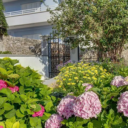 Haraciceva Διαμέρισμα