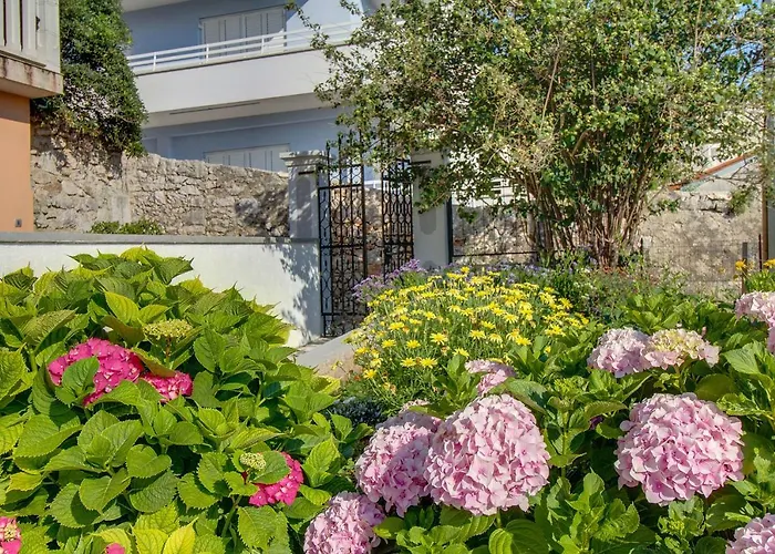 Haraciceva Appartamento